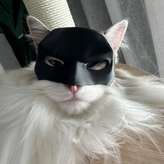 Bat Cat Avenger Mask Cat Bat Cool Man Mask Cat Unleash Cat S Inner Superhero Cat Bat Halloween Costume Cat for Avenger